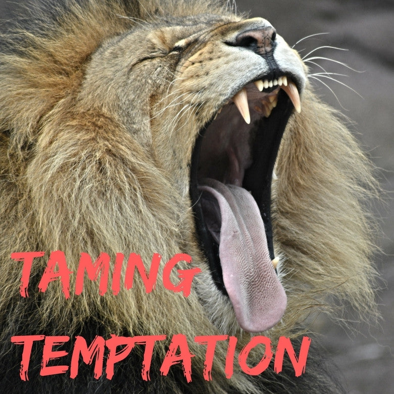 Taming Temptation